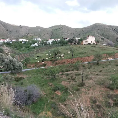 Casita Tomate Granada
