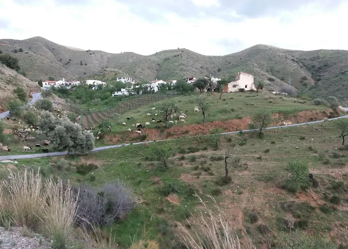 Casita Tomate Granada